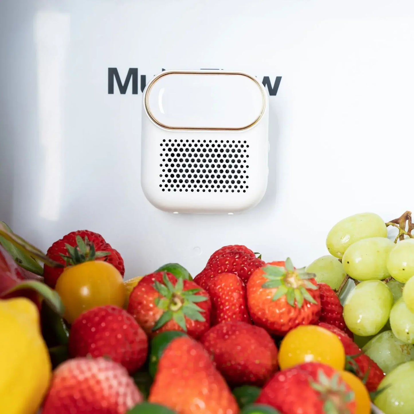 Rechargeable Ozone Deodorizer