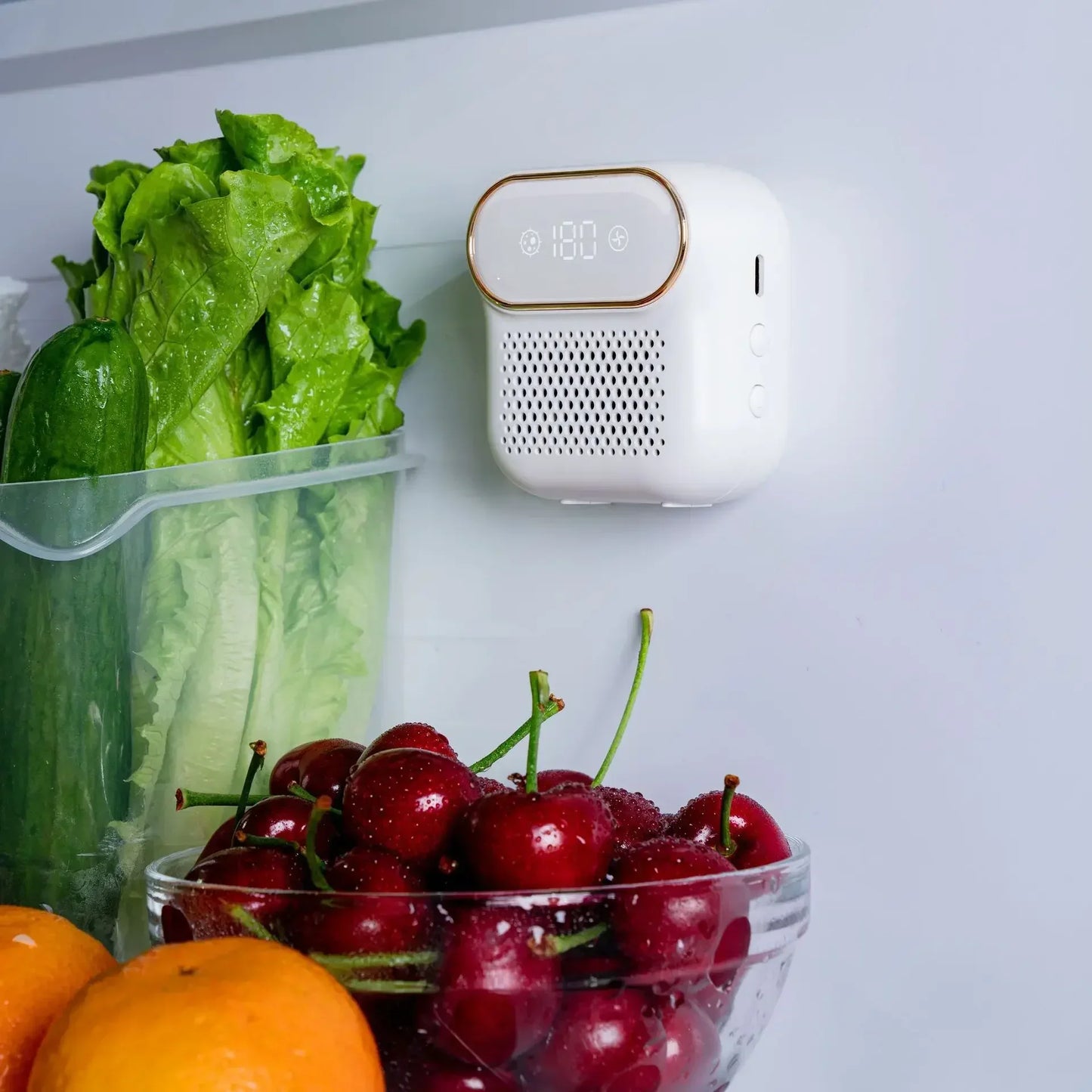 Rechargeable Ozone Deodorizer